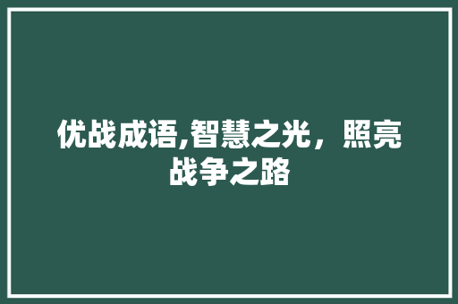 优战成语,智慧之光，照亮战争之路