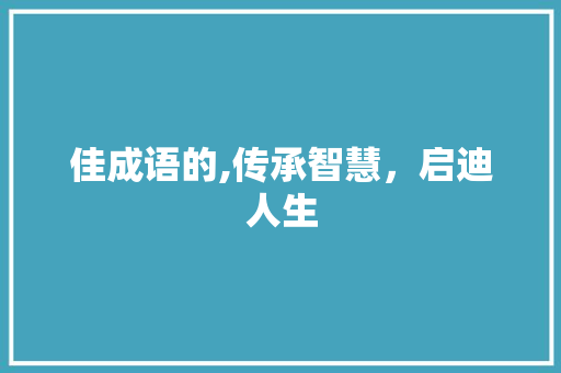 佳成语的,传承智慧，启迪人生