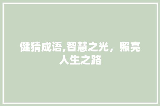 健猜成语,智慧之光，照亮人生之路