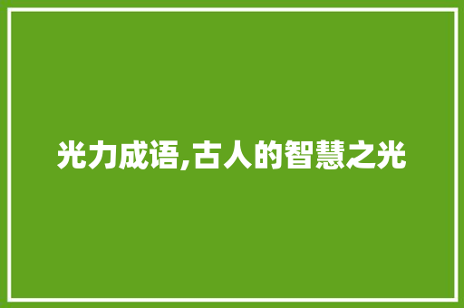 光力成语,古人的智慧之光