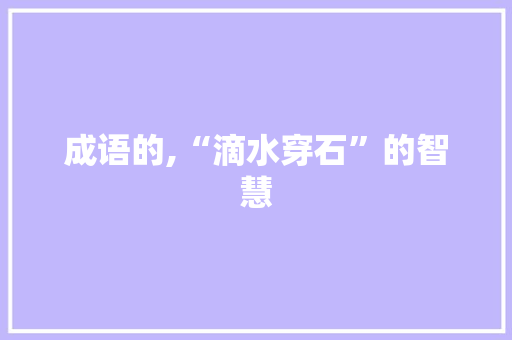 成语的,“滴水穿石”的智慧 个人简历