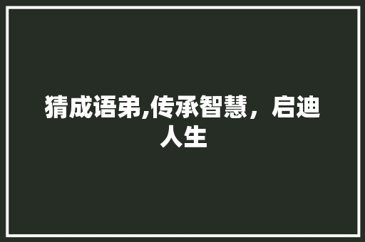 猜成语弟,传承智慧，启迪人生