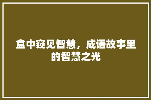 盒中窥见智慧，成语故事里的智慧之光 国学经典