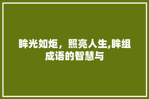 眸光如炬，照亮人生,眸组成语的智慧与