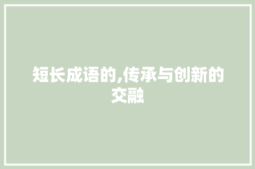 短长成语的,传承与创新的交融