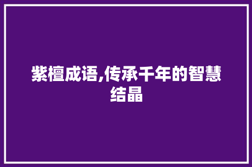 紫檀成语,传承千年的智慧结晶