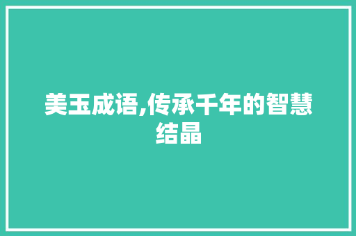 美玉成语,传承千年的智慧结晶