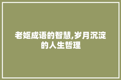 老妪成语的智慧,岁月沉淀的人生哲理 工作总结