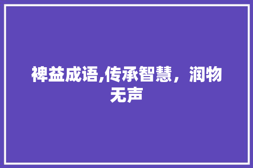 裨益成语,传承智慧，润物无声 个人简历