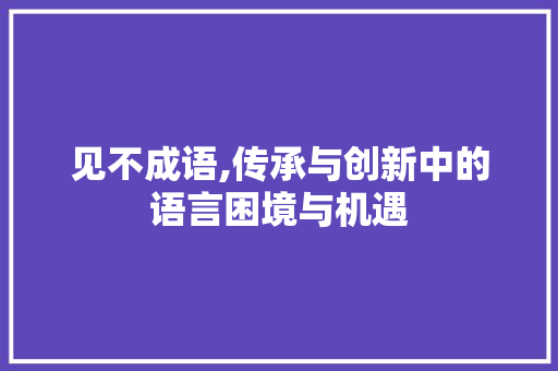 见不成语,传承与创新中的语言困境与机遇