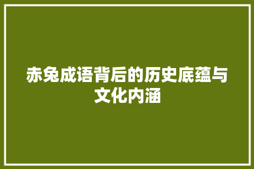 赤兔成语背后的历史底蕴与文化内涵 工作计划