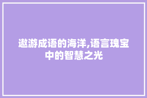 遨游成语的海洋,语言瑰宝中的智慧之光