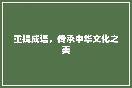 重提成语，传承中华文化之美 演讲稿