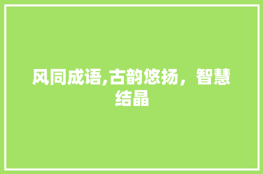 风同成语,古韵悠扬，智慧结晶