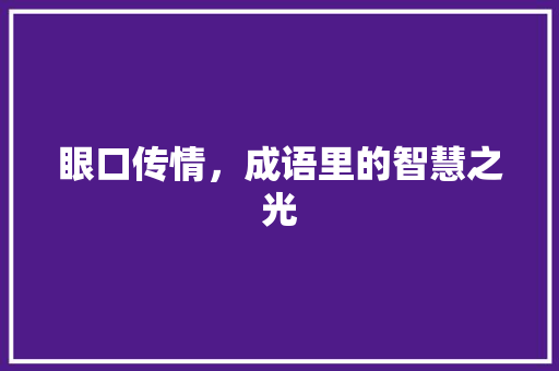 眼口传情，成语里的智慧之光