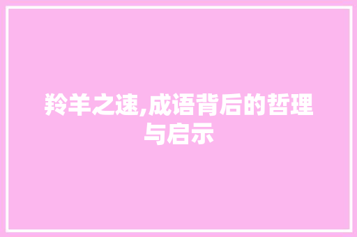 羚羊之速,成语背后的哲理与启示