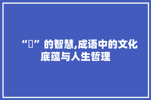 “蔵”的智慧,成语中的文化底蕴与人生哲理 工作计划