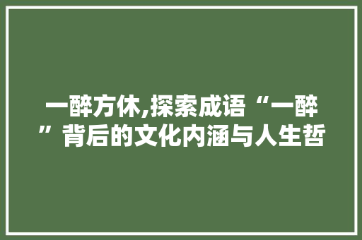 一醉方休,探索成语“一醉”背后的文化内涵与人生哲理