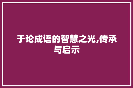 于论成语的智慧之光,传承与启示
