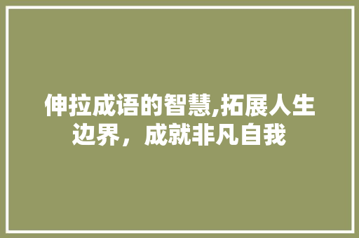 伸拉成语的智慧,拓展人生边界，成就非凡自我
