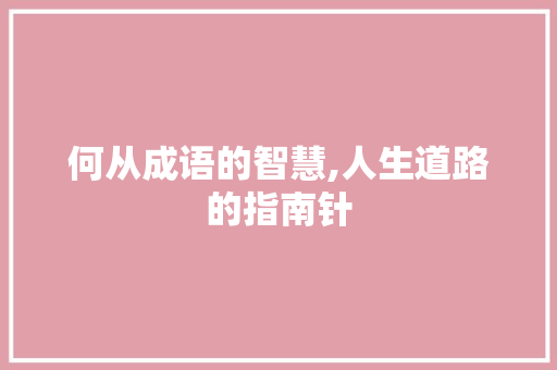 何从成语的智慧,人生道路的指南针