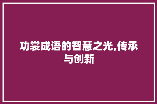 功裳成语的智慧之光,传承与创新