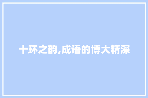 十环之韵,成语的博大精深