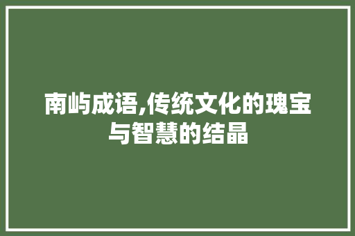 南屿成语,传统文化的瑰宝与智慧的结晶