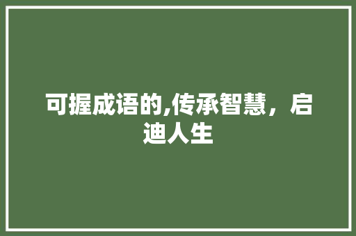 可握成语的,传承智慧，启迪人生