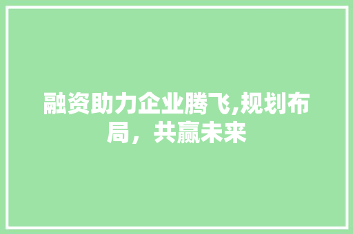 融资助力企业腾飞,规划布局，共赢未来