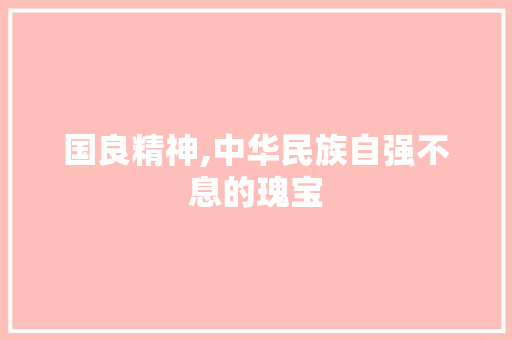 国良精神,中华民族自强不息的瑰宝