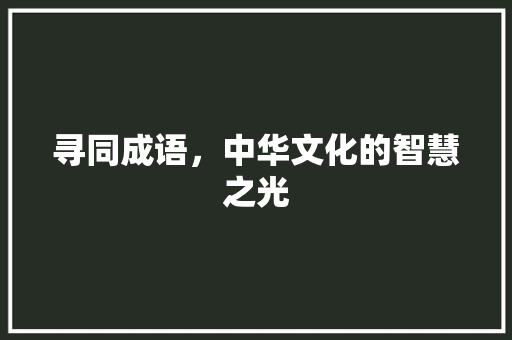 寻同成语，中华文化的智慧之光 个人简历