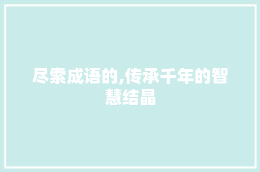 尽索成语的,传承千年的智慧结晶