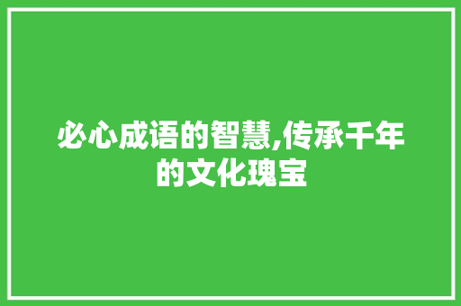 必心成语的智慧,传承千年的文化瑰宝