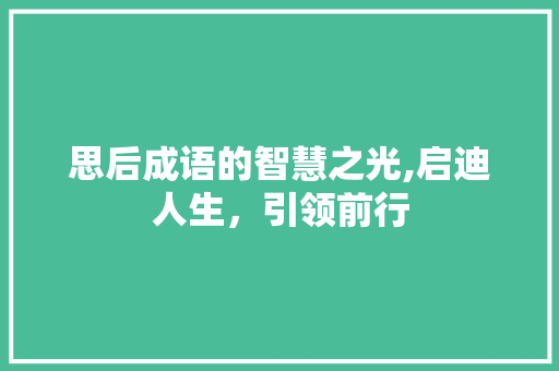 思后成语的智慧之光,启迪人生，引领前行