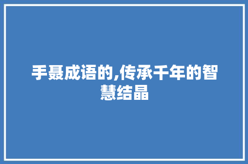 手聂成语的,传承千年的智慧结晶 合同范本
