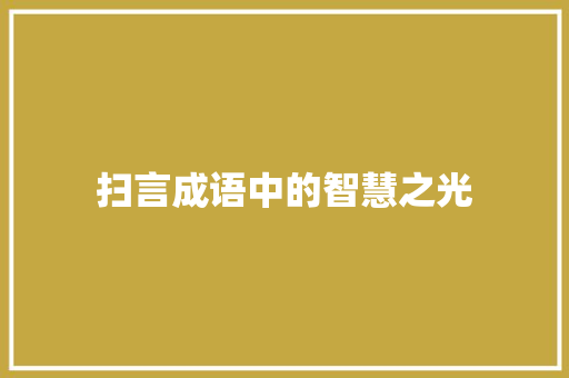 扫言成语中的智慧之光