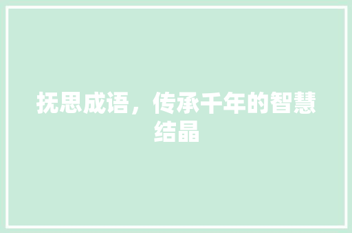 抚思成语，传承千年的智慧结晶