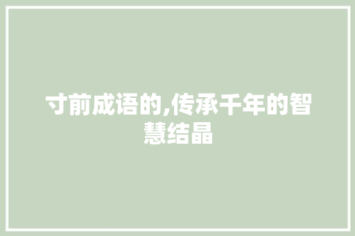 寸前成语的,传承千年的智慧结晶