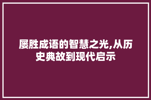 屡胜成语的智慧之光,从历史典故到现代启示 工作总结