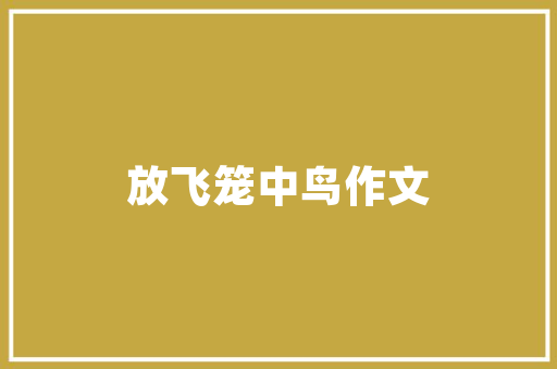 缤纷暑假，DIY定制你的成长之旅