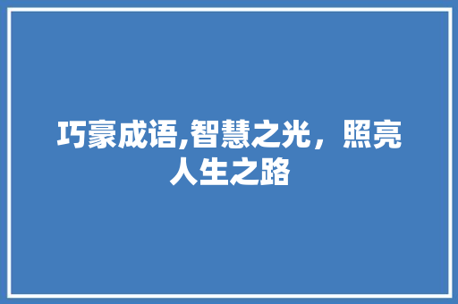 巧豪成语,智慧之光，照亮人生之路