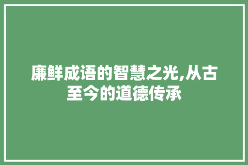 廉鲜成语的智慧之光,从古至今的道德传承 诗词鉴赏