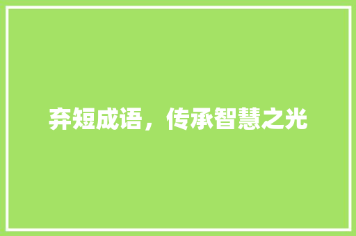 弃短成语，传承智慧之光