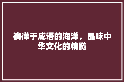 徜徉于成语的海洋，品味中华文化的精髓