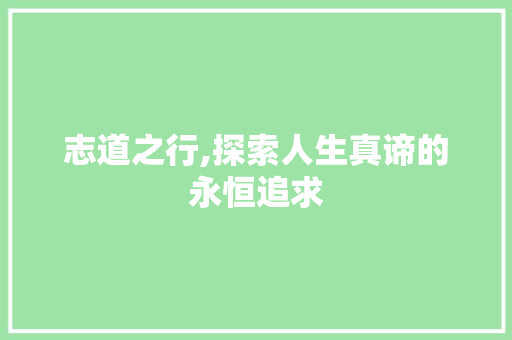 志道之行,探索人生真谛的永恒追求