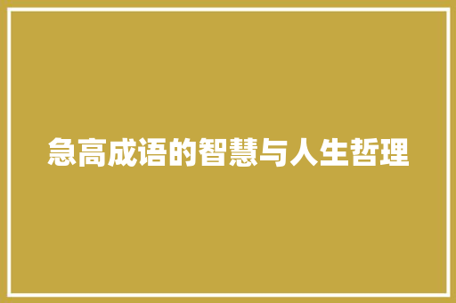 急高成语的智慧与人生哲理