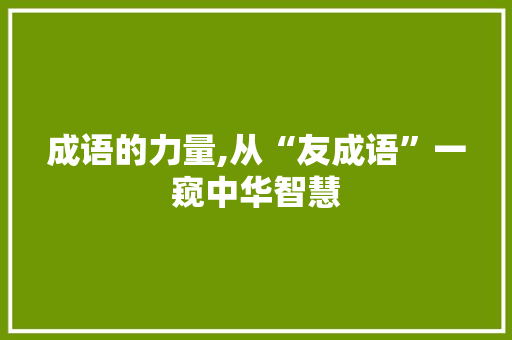 成语的力量,从“友成语”一窥中华智慧