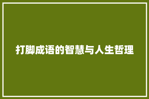 打脚成语的智慧与人生哲理 国学经典