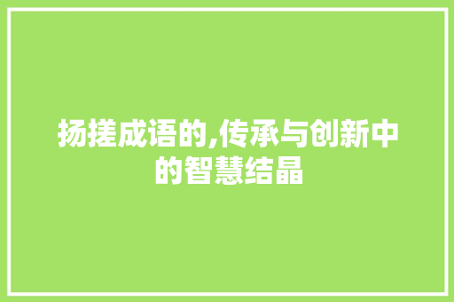 扬搓成语的,传承与创新中的智慧结晶